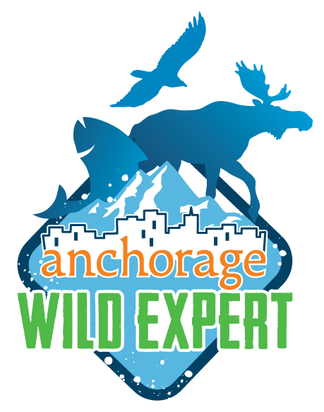 Sun Day Travel Group | Anchorage certified travel specialist badge